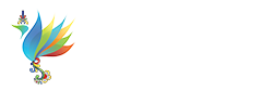 VS_logo_white